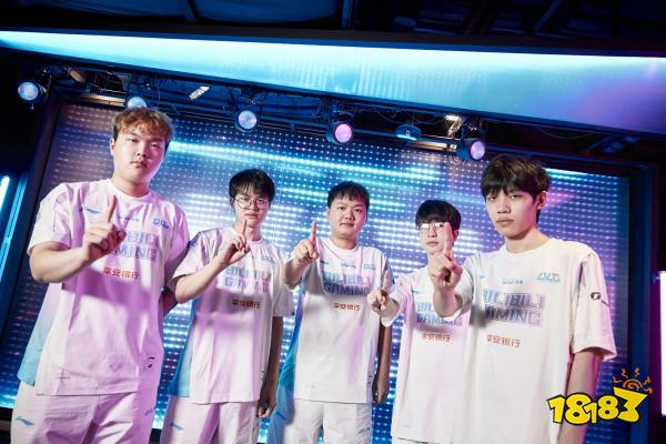 众多荣誉的 众多荣誉的