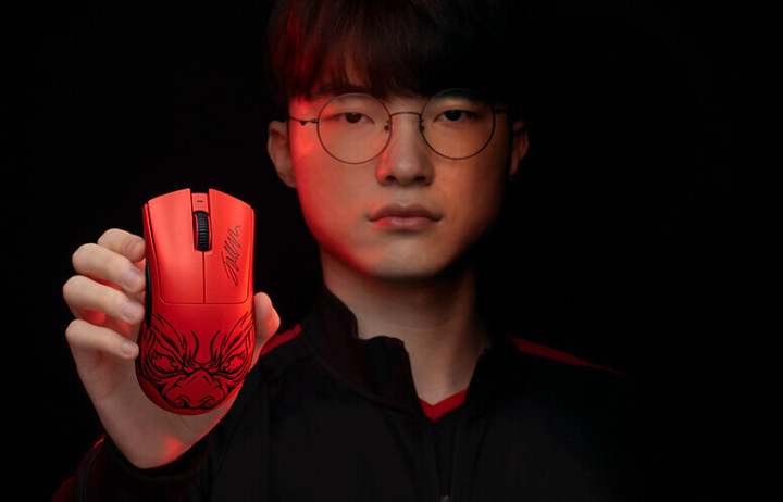 解码马查多 解码马查多